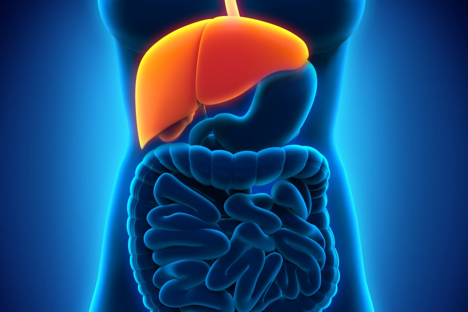 8 TOP foods to "cleanse" your liver