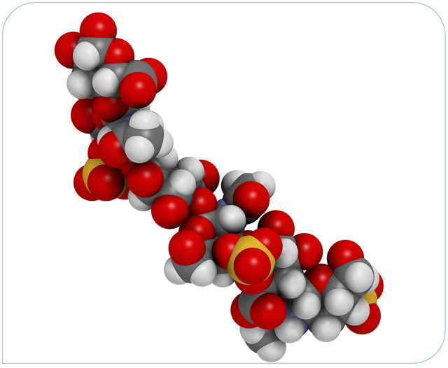Chondroitin Sulfate 90% 600mg (of marine origin)