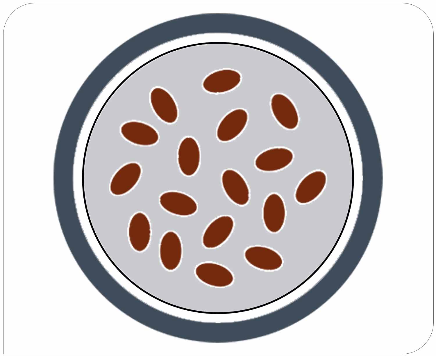 Image Alt Text