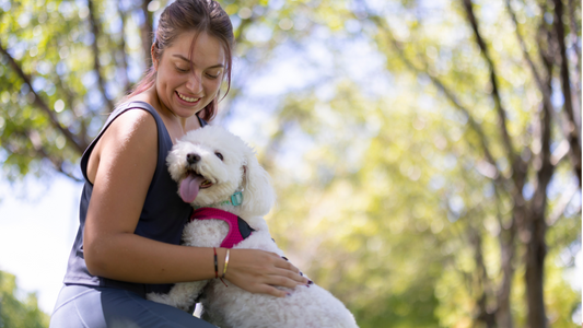 8 Health Benefits of Owning a Dog: Your 4-Legged Friend to Better Health and Wellbeing