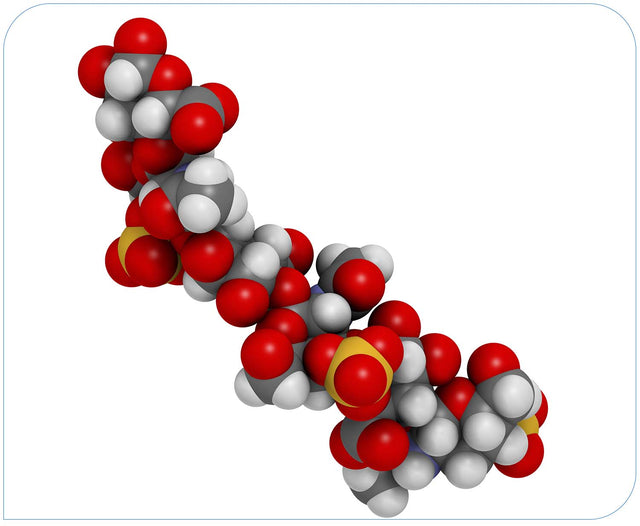 Chondroitin Sulfate 90% 450mg (of marine origin)